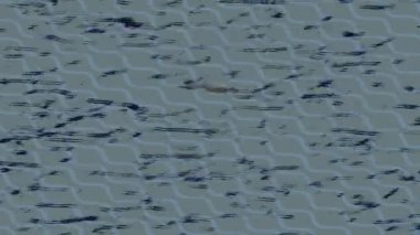 Modern medya üretimi için fütüristik dijital soyut doku sinematik tarz hareketli grafik ögesi