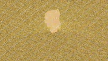 Yaratıcı video düzenleme film tasarımı için benzersiz hareket grafikleri biçimi giriş hareketi video pro