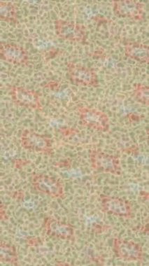 Yaratıcı video düzenleme film tasarımı için benzersiz hareket grafikleri biçimi giriş hareketi video pro