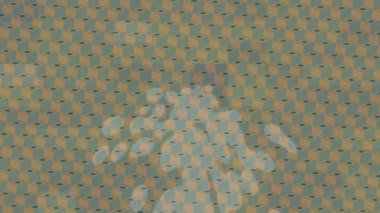 Benzersiz dijital hareket grafiklerine sahip yaratıcı sinematik projeler için yumuşak animasyon yüzeyi