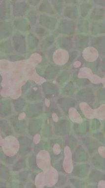 Lüks hareket tasarımı üst düzey video projeleri ve dijital sanat için zarif, pürüzsüz bir dokusu var.