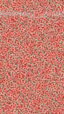 Benzersiz hareket dokusu tasarım sanatı ile profesyonel video düzenleme için modern soyut grafikler