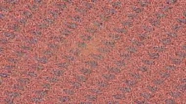 Benzersiz video giriş tasarımı projeleri için detaylı yüzey kalıbı film animasyon stili grafik girişi