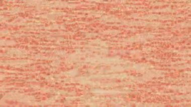 Modern medya üretimi için fütüristik dijital soyut doku sinematik tarz hareketli grafik ögesi