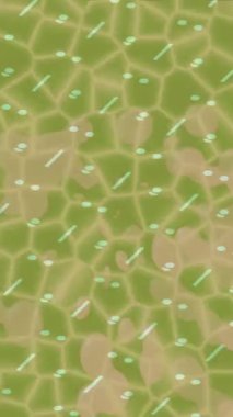 Estetik doku arkaplan tasarımı renkli hareket grafikleri ile moda film giriş profosyoneli