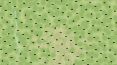 Benzersiz video giriş tasarımı projeleri için detaylı yüzey kalıbı film animasyon stili grafik girişi