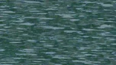 Benzersiz hareket grafikleri tasarım sanatına sahip yaratıcı film üretimi için özet bir arkaplan