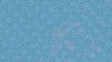 Benzersiz dijital hareket grafiklerine sahip yaratıcı sinematik projeler için yumuşak animasyon yüzeyi