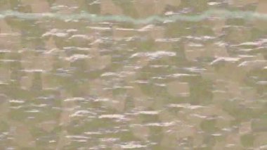 Benzersiz hareket dokusu tasarım sanatı ile profesyonel video düzenleme için modern soyut grafikler