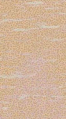 Benzersiz hareket grafikleri tasarım sanatına sahip yaratıcı film üretimi için özet bir arkaplan