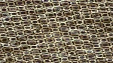 Lüks hareket projeleri için soyut tasarım stili animasyonu olan üst düzey dijital doku