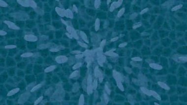 Lüks hareket tasarımı üst düzey video projeleri ve dijital sanat için zarif, pürüzsüz bir dokusu var.