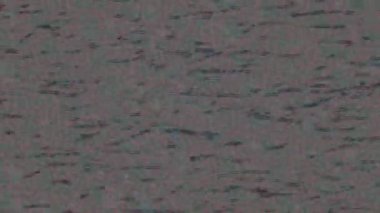 Soyut hareket desenli fütüristik video üretimi için dinamik dijital arkaplan