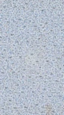 Benzersiz hareket grafikleri tasarım sanatına sahip yaratıcı film üretimi için özet bir arkaplan