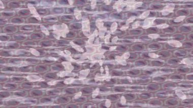 Estetik doku arkaplan tasarımı renkli hareket grafikleri ile moda film giriş profosyoneli