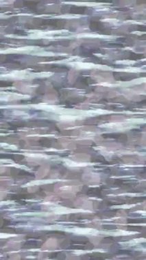 Yaratıcı video düzenleme film arkaplan tasarımı için minimalist organik hareket grafikleri