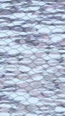 Profesyonel video projeleri sanat tarzı için organik hareketli arkaplan tasarımı