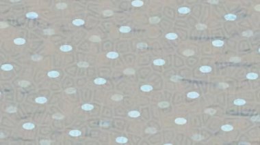 Yaratıcı video düzenleme film arkaplan tasarımı için minimalist organik hareket grafikleri