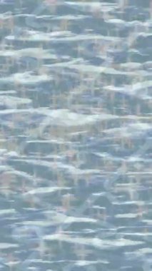 Benzersiz dijital animasyon tarzı grafikleri olan yaratıcı ortam tasarımı için yenilikçi hareket dokusu