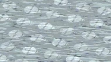 Yaratıcı video düzenleme film tasarımı için benzersiz hareket grafikleri biçimi giriş hareketi video pro