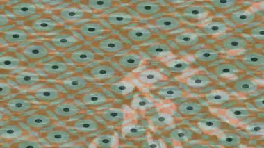 Estetik doku arkaplan tasarımı renkli hareket grafikleri ile moda film giriş profosyoneli