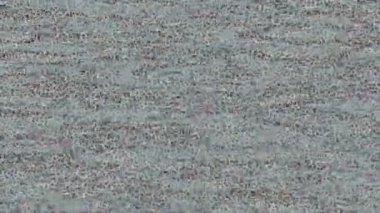 Organik desenli yüzey giriş stili video film sanatı ile soyut arkaplan tasarımı