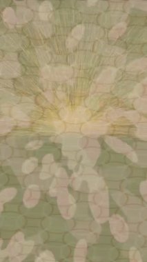 Dijital doku yüzey tasarım biçimi ile modern video animasyonu için gelişmiş hareket grafikleri