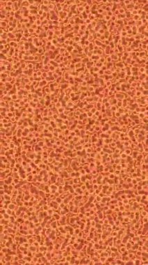 Benzersiz dijital animasyon tarzı grafikleri olan yaratıcı ortam tasarımı için yenilikçi hareket dokusu