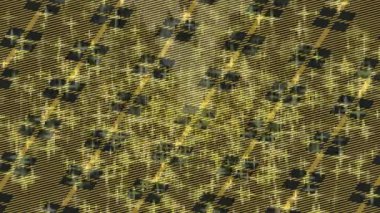 Profesyonel video projeleri sanat tarzı için organik hareketli arkaplan tasarımı