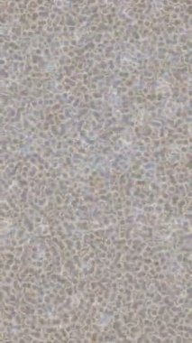 Yaratıcı video düzenleme film tasarımı için benzersiz hareket grafikleri biçimi giriş hareketi video pro