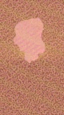 Dijital doku yüzey tasarım biçimi ile modern video animasyonu için gelişmiş hareket grafikleri