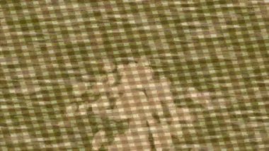 Benzersiz hareket grafikleri tasarım sanatına sahip yaratıcı film üretimi için özet bir arkaplan