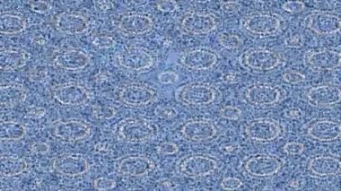 Profesyonel video projeleri sanat tarzı için organik hareketli arkaplan tasarımı