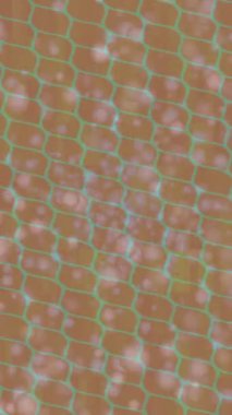 Estetik doku arkaplan tasarımı renkli hareket grafikleri ile moda film giriş profosyoneli