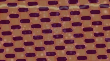 Benzersiz dijital animasyon tarzı grafikleri olan yaratıcı ortam tasarımı için yenilikçi hareket dokusu