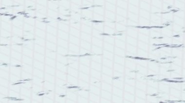 Estetik doku arkaplan tasarımı renkli hareket grafikleri ile moda film giriş profosyoneli