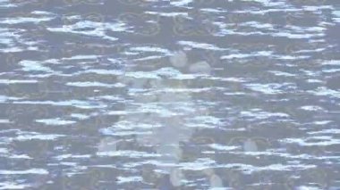 Benzersiz hareket dokusu tasarım sanatı ile profesyonel video düzenleme için modern soyut grafikler