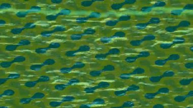 Yaratıcı video düzenleme film tasarımı için benzersiz hareket grafikleri biçimi giriş hareketi video pro