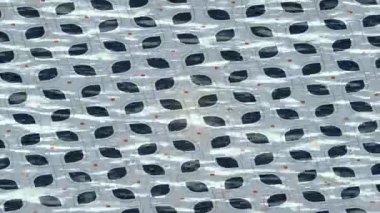 Lüks hareket tasarımı üst düzey video projeleri ve dijital sanat için zarif, pürüzsüz bir dokusu var.