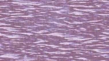 Benzersiz dijital hareket grafiklerine sahip yaratıcı sinematik projeler için yumuşak animasyon yüzeyi