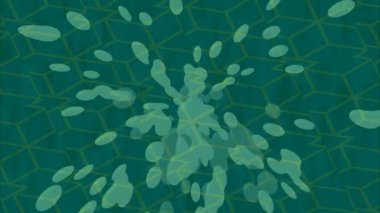 Yaratıcı video düzenleme film arkaplan tasarımı için minimalist organik hareket grafikleri