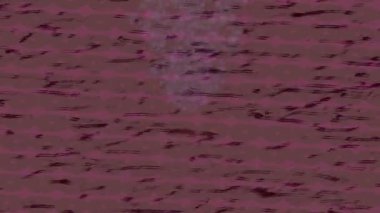 Dijital doku yüzey tasarım biçimi ile modern video animasyonu için gelişmiş hareket grafikleri