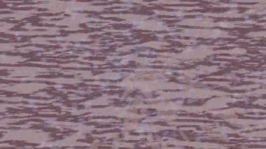 Benzersiz dijital hareket grafiklerine sahip yaratıcı sinematik projeler için yumuşak animasyon yüzeyi