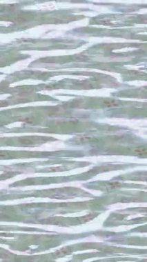 Benzersiz dijital animasyon tarzı grafikleri olan yaratıcı ortam tasarımı için yenilikçi hareket dokusu