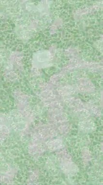 Yaratıcı video düzenleme film arkaplan tasarımı için minimalist organik hareket grafikleri