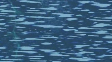 Lüks hareket tasarımı üst düzey video projeleri ve dijital sanat için zarif, pürüzsüz bir dokusu var.