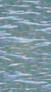 Profesyonel video projeleri sanat tarzı için organik hareketli arkaplan tasarımı