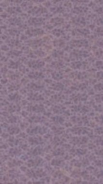 Benzersiz hareket grafikleri tasarım sanatına sahip yaratıcı film üretimi için özet bir arkaplan