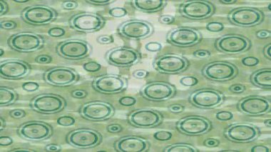 Soyut hareket desenli fütüristik video üretimi için dinamik dijital arkaplan