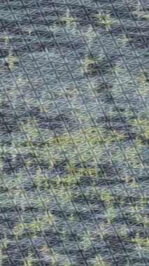 Yaratıcı video düzenleme film arkaplan tasarımı için minimalist organik hareket grafikleri